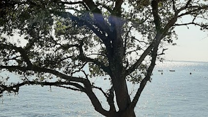 Sylvie Le Goff Hypnose Sophrologie, Hypnothérapeute à Crach