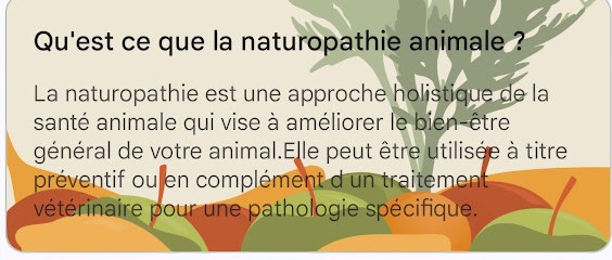 Ani'Mauxpattes, Praticien de Médecine Alternative à Lasserre-de-Prouille