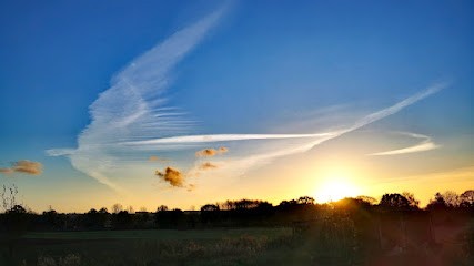 Marie de Sury d aspremont Naturopathe, Praticien de Médecine Alternative à La Boussac