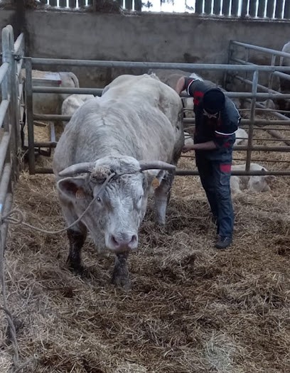Pierre Abord-Hugon Rebouteux - Magnétiseur, Praticien de Médecine Alternative à Couches