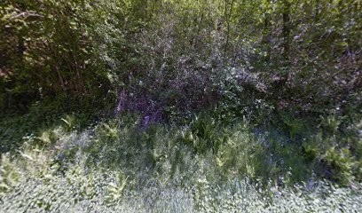 GeoBioLogis, Praticien de Médecine Alternative à Campuac