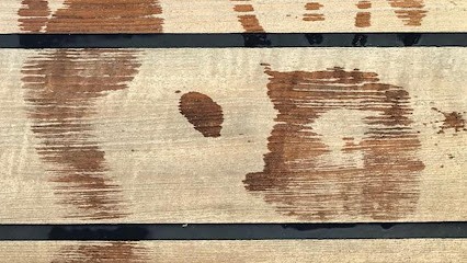 Newman Legros Maximilien, Réflexologue à Blanzay