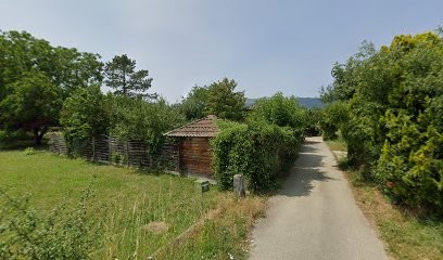 Amélie Nollet-Verdier Naturopathe, Praticien de Médecine Alternative à Ségny