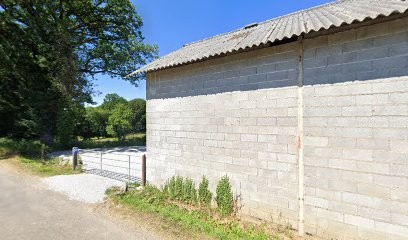 Emmanuel Médium Guérisseur, Praticien de Médecine Alternative à Seilhac