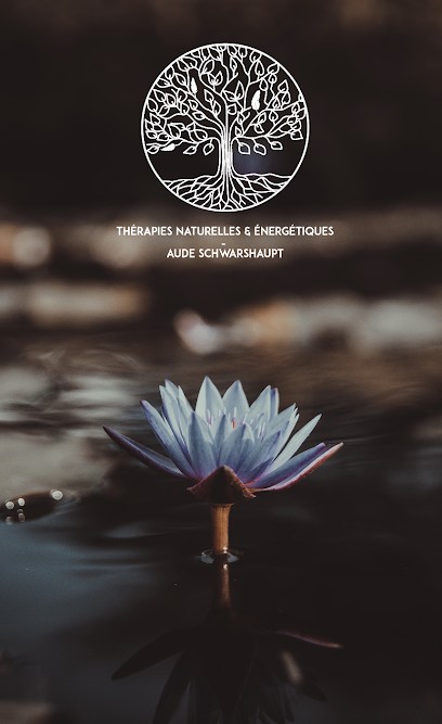 Thérapies Naturelles et Energétiques, Praticien de Médecine Alternative aux Houches