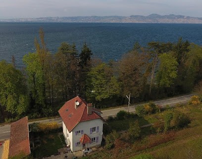 Vincent Fairon praticien en hypnose, Hypnothérapeute à Lugrin