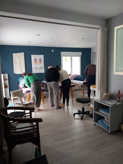 L' école De La Réflexologie, Réflexologue à Landaul