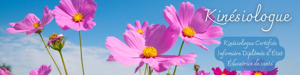 Hélène - Kinésiologue Albi Tarn, Praticien de Médecine Alternative à Terssac