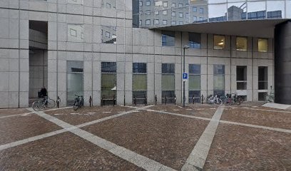 Raoul Cassard, Praticien de Médecine Alternative à Charenton-le-Pont