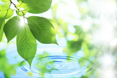 HYPNO-BIENETRE, Hypnothérapeute à Beaune