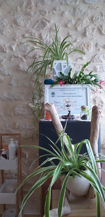 Marie Cardoso, Praticien de Médecine Alternative à Saint-Laurent-Médoc