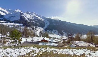 A. M. D'Amico, Hypnose Ericksonienne et ..., Hypnothérapeute à La Clusaz