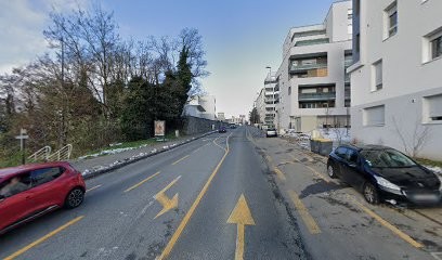 Archanciel Sarl c/c Antoinette Mottier, Praticien de Médecine Alternative à Annemasse