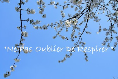 Julie Bouillaux - Thérapie Brève/Sophrologie/Hypnose, Praticien de Médecine Alternative à Crèvecoeur-le-Grand