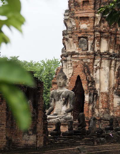 Céline Winther - Réflexologue RNCP - Réflexologie plantaire - Aix en provence - Puyricard, Réflexologue à Aix-en-Provence