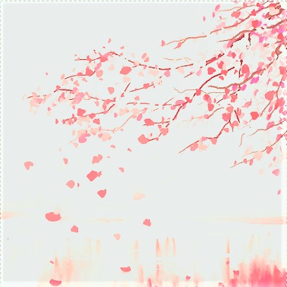 Hokuto No Shiatsu, Praticien de Médecine Alternative au Havre