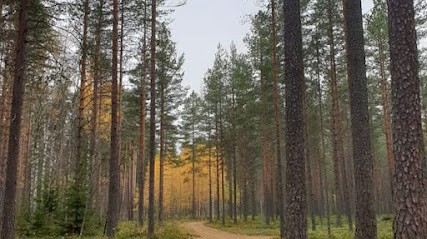 JADE POLLARI HYPNOSE ET BIEN ETRE, Praticien de Médecine Alternative à Solliès-Pont