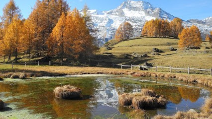David Anne Marielle, Praticien de Médecine Alternative à Aiguilhe