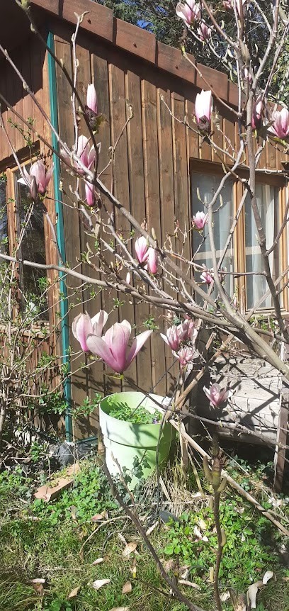 Un Grain de Bonheur-Sandrine RAGEYS- Magnétiseur - Accompagnement holistique E.T.R.E., Praticien de Médecine Alternative à Régny