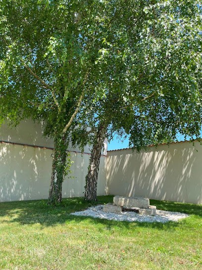 Joséphine Réflexologie Plantaire, Réflexologue à Lagord