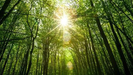 Blanc Claire, Praticien de Médecine Alternative à Thoiry