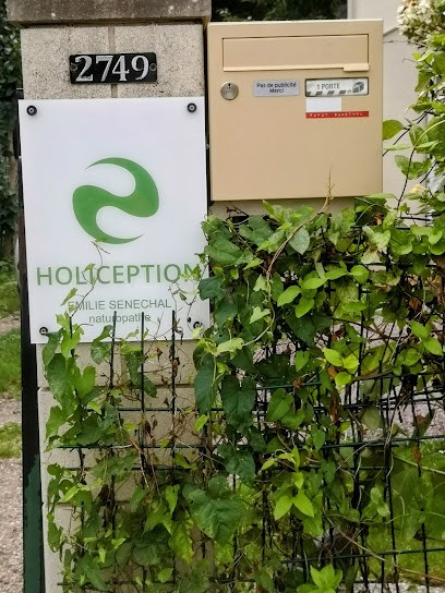 HOLICEPTION Emilie Sénéchal Naturopathe, Praticien de Médecine Alternative à Franqueville-Saint-Pierre
