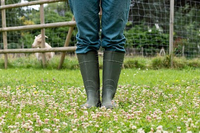 Communication animale et soins énergétiques - Marion CANAPLE - A l'Unisson du Vivant, Praticien de Médecine Alternative à Bouchemaine