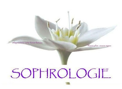 SOPHROLOGUE Certifiée RNCP, Praticien de Médecine Alternative à Noisy-le-Roi