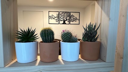 Cécile Grain Naudin - Thérapeute En TNC (Technique Neuro-Cutanée) - Douleurs, Stress, Fatigue, Migraines, Troubles Divers..., Praticien de Médecine Alternative au Cendre