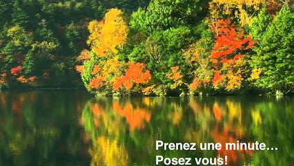 Patricia Mougenot Sophrologue Beauzelle, Praticien de Médecine Alternative à Beauzelle