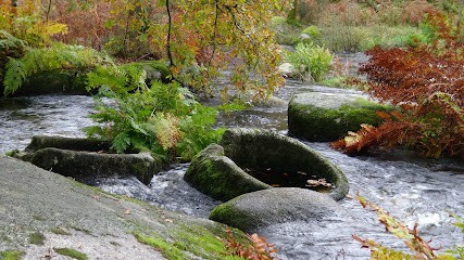 Isabelle Guérard Energéticienne en reliance avec la nature, Praticien de Médecine Alternative à Erdeven
