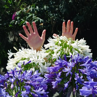 L'Art En Réflexologie, Réflexologue à Saint-Romain-de-Colbosc