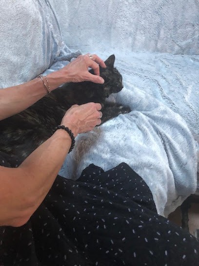 Onaïs Réflexologue, Dubost Pascale, Réflexologue à Mérignac