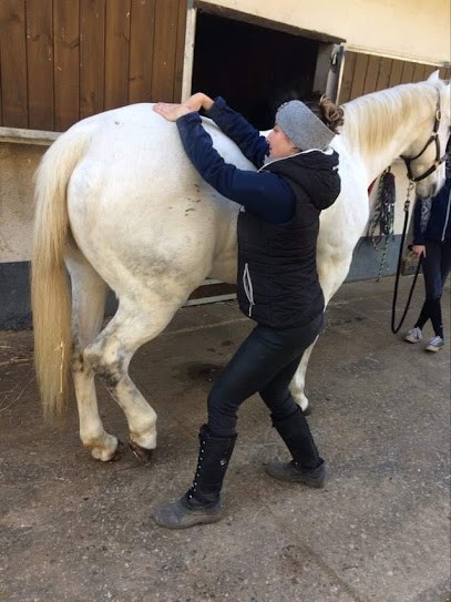 Offre Marion Shiatsu - Shiatsu Vendée, Praticien de Médecine Alternative à Luçon