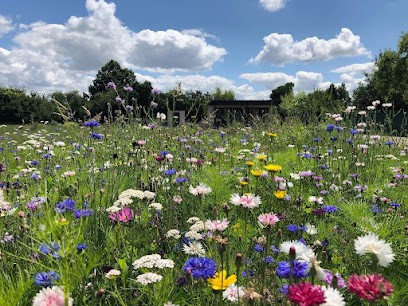 Lydie LOUPIAS Shiatsu Magnétisme Stages Ateliers Plantes, Praticien de Médecine Alternative à Castelmaurou