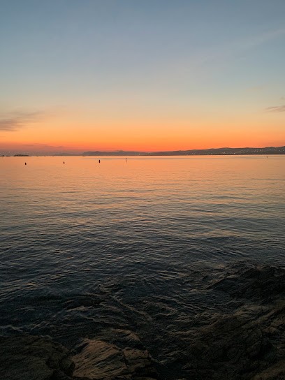Sophie Sylvestre - Sophrologue, Praticien de Médecine Alternative à Toulon