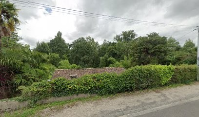 Nature Libre naturopathe, Praticien de Médecine Alternative à Boutiers-Saint-Trojan