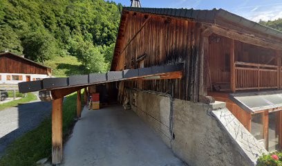 AYAMS, Praticien de Médecine Alternative à Châtillon-sur-Cluses