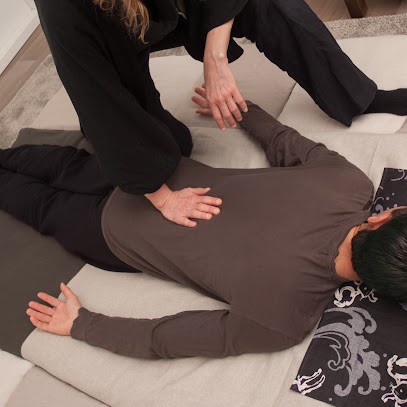 SHIATSU THERAPEUTIQUE Stina JOUBERT, Praticien de Médecine Alternative à Arles