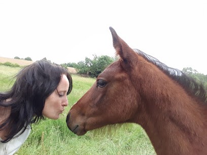 Cécile Larose - EFT, Sophrologie, Equisophrologie, Séjours Bien être, Praticien de Médecine Alternative à Villeneuve-de-Marc