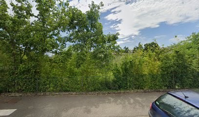 Mary Energie Soin énergétique Massage Holistique, Praticien de Médecine Alternative à Vernaison