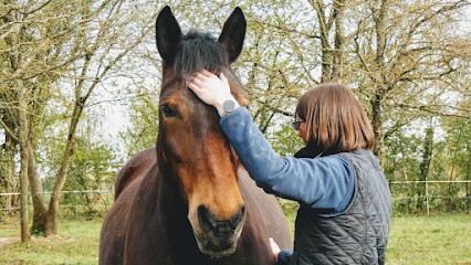 Aurelie Gouere Energeticienne (soins Energetiques et Communications animales), Praticien de Médecine Alternative à Ploërmel