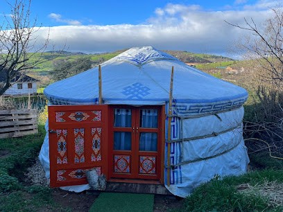Patricia Dubost Martin sonothérapeute, Praticien de Médecine Alternative à Ancy