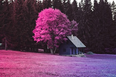 Combe Patricia, Praticien de Médecine Alternative à Saint-Martin-de-Crau