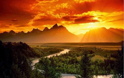 Joëlle Larroche Magnétiseur à Carbon-Blanc - Bordeaux Magnétiseur, Praticien de Médecine Alternative à Carbon-Blanc