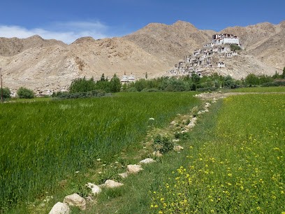 Véronique Thoral Sophrologue Somatothérapeute et Praticienne EMDR, Praticien de Médecine Alternative à Bohas-Meyriat-Rignat