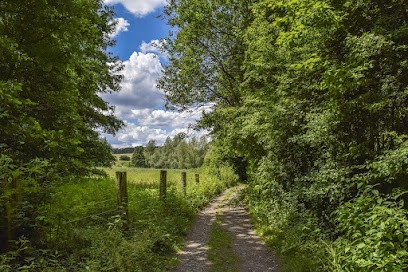 Faire Son Chemin, Praticien de Médecine Alternative à Margny-lès-Compiègne
