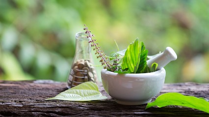 Boulay Pierre, Praticien de Médecine Alternative à Troisfontaines