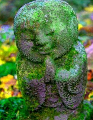 Sandrine DUMAZ, Praticien de Médecine Alternative à Seynod