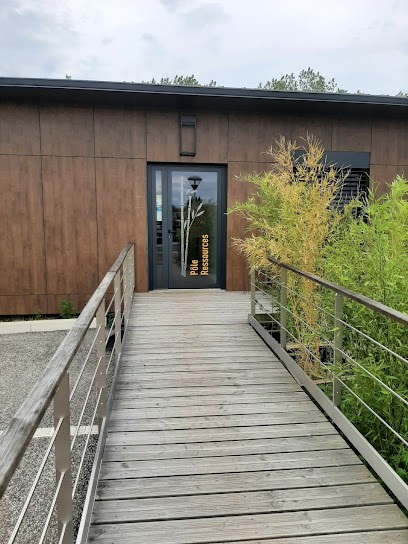 Eliane Blachère - Praticienne En Médecine Chinoise, Praticien de Médecine Alternative à Saint-Just-Saint-Rambert